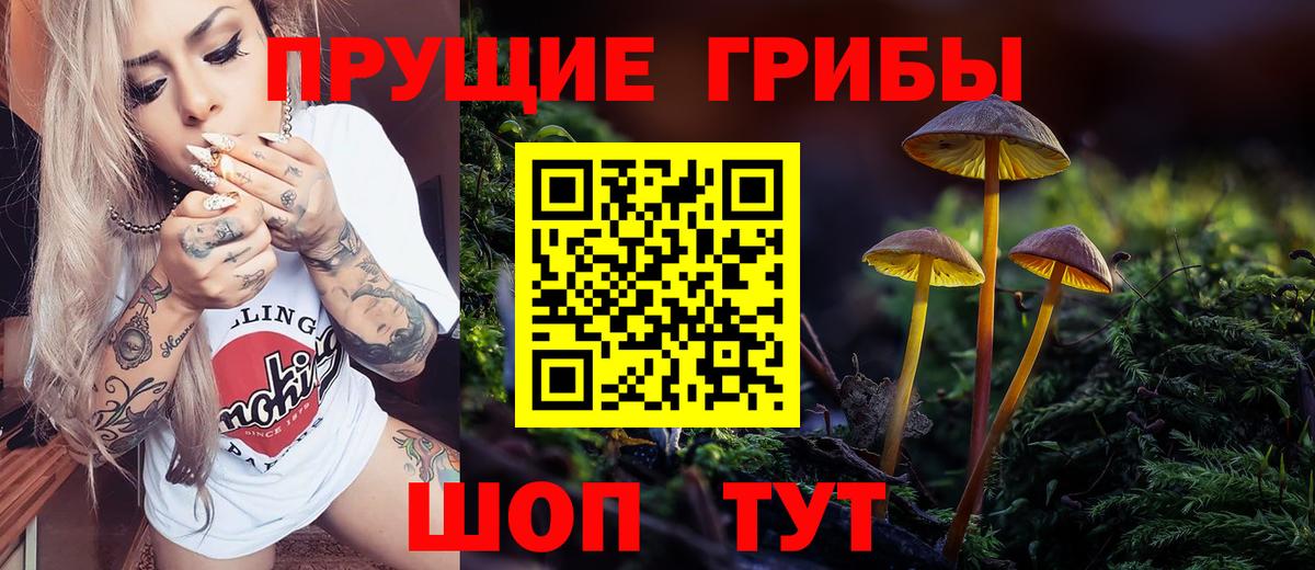 Псилоцибиновые грибы Magic Shrooms  Вход с VPN  Сибай 