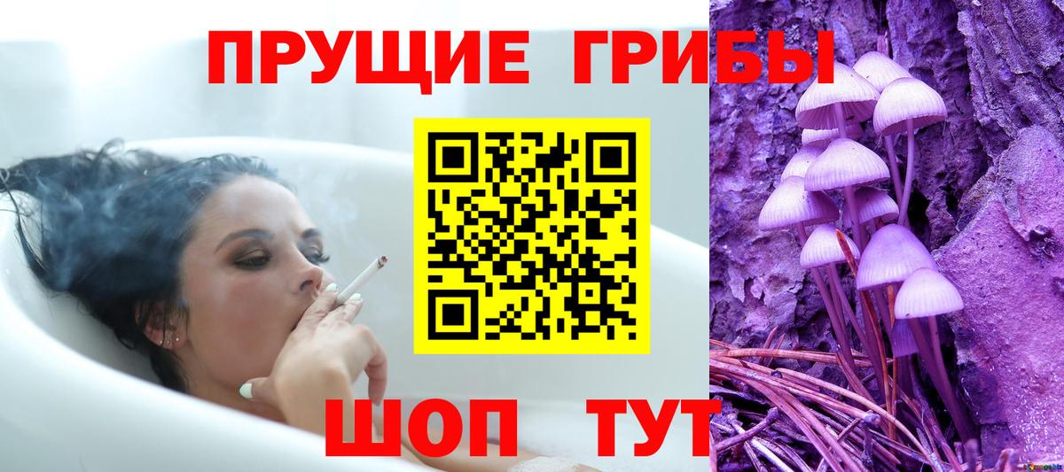 Галлюциногенные грибы Cubensis Сибай